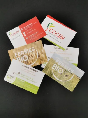 carte de visite - carte - impression - carte publicité