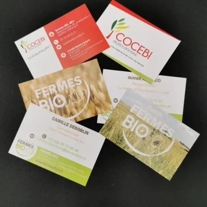 carte de visite - carte - impression - carte publicité
